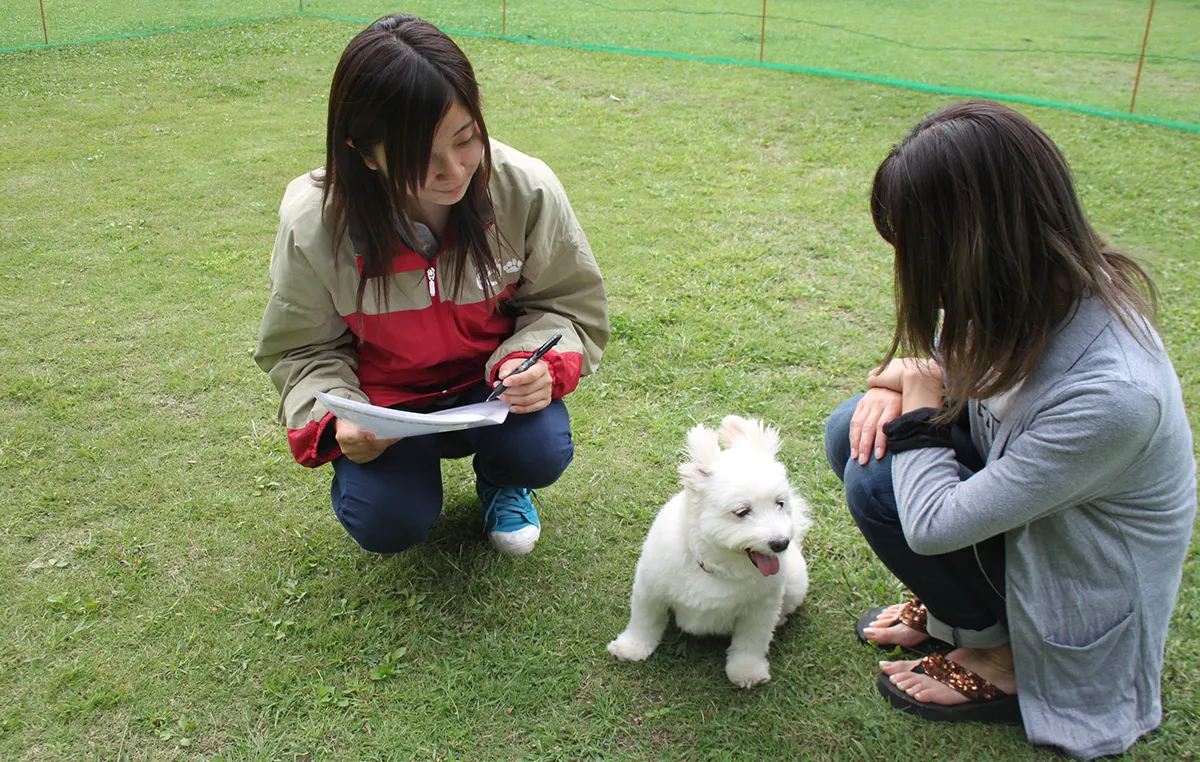 愛犬家マナー向上のための啓蒙活動