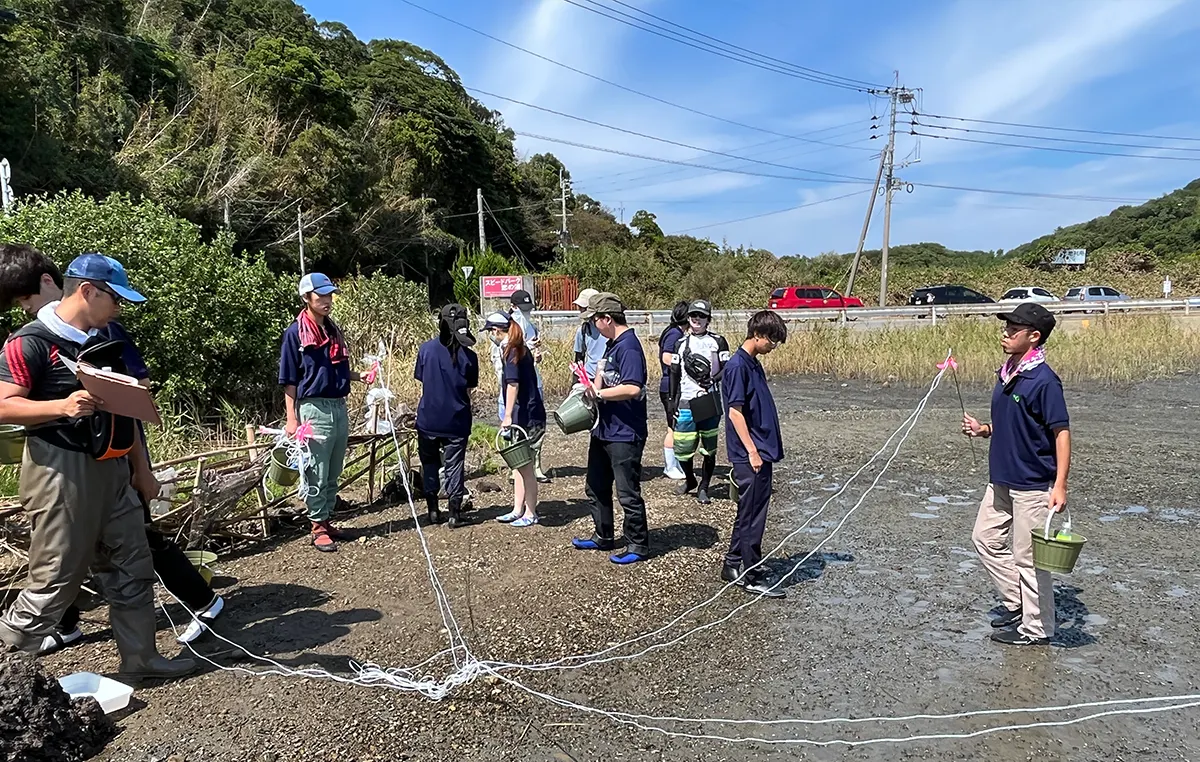 カブトガニ保全のための幼体調査