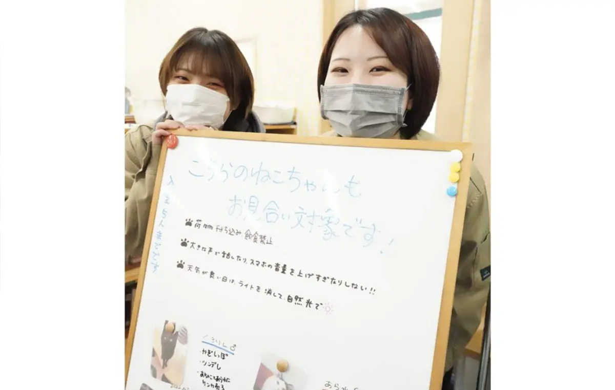 保護猫のお見合い会「ニャンとワンだふるマルシェ」