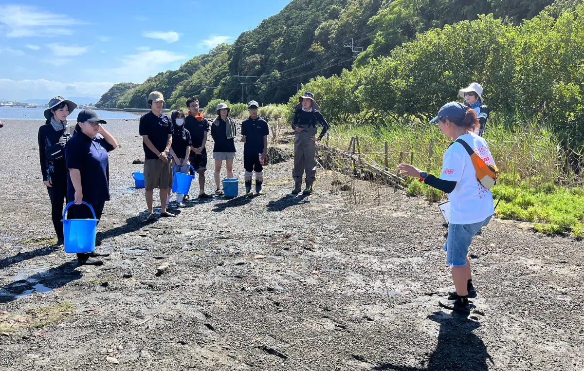 カブトガニ保全のための幼体調査