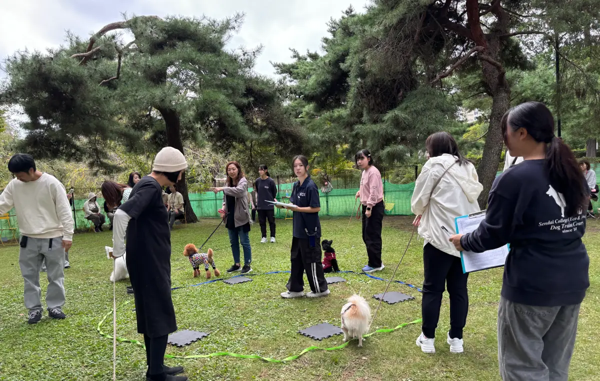 榴岡公園ドッグラン運営イベント