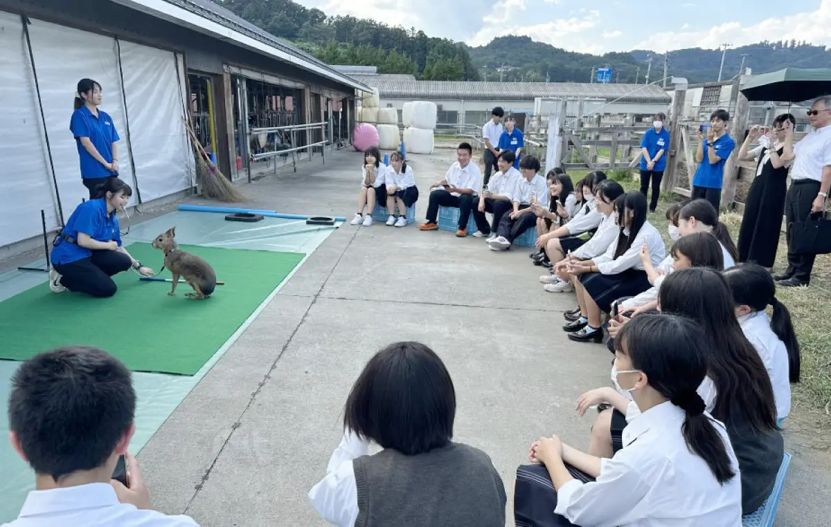 農業高校での動物解説＆パフォーマンス活動