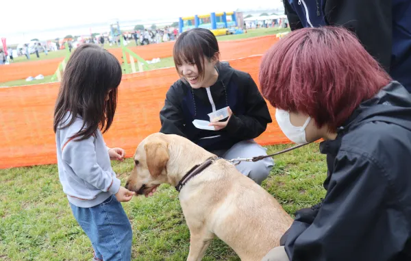 PARK CINEMA FESTIVAL in 葛西臨海公園 2025
