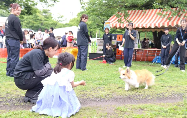 新田フェスティバル