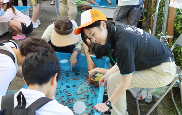 第54回江戸川区特産金魚まつり