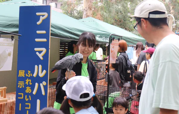 第50回葛西まつり 移動動物園