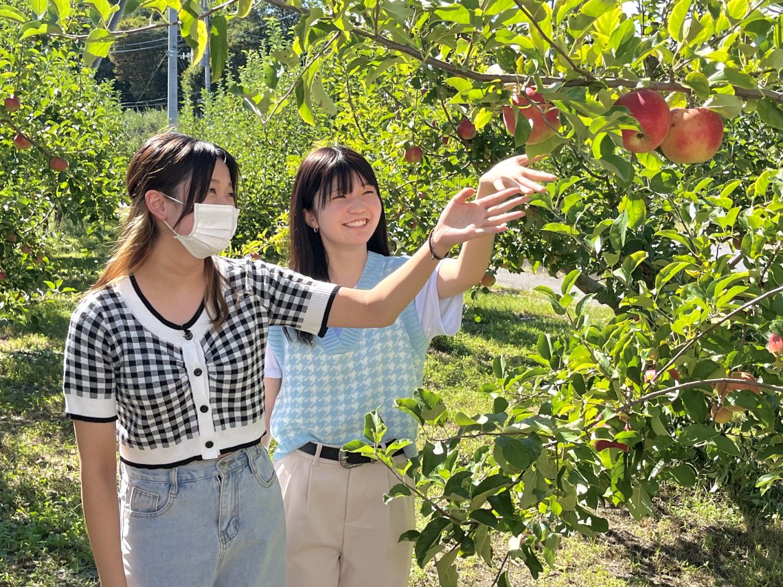 東京ベルエポック製菓調理専門学校】『りんご狩りの食材研修』と『業界